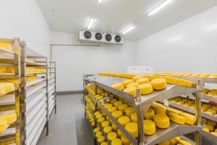 câmara fria, isolada por painéis isotérmicos e utilizada para o armazenamento de queijos