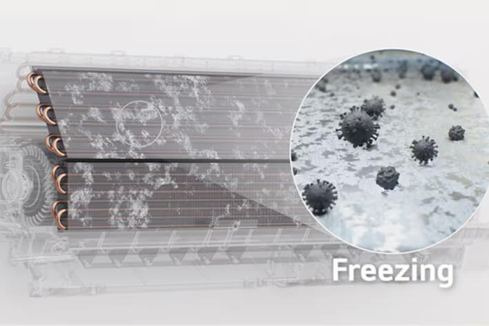 Freeze Cleaning
