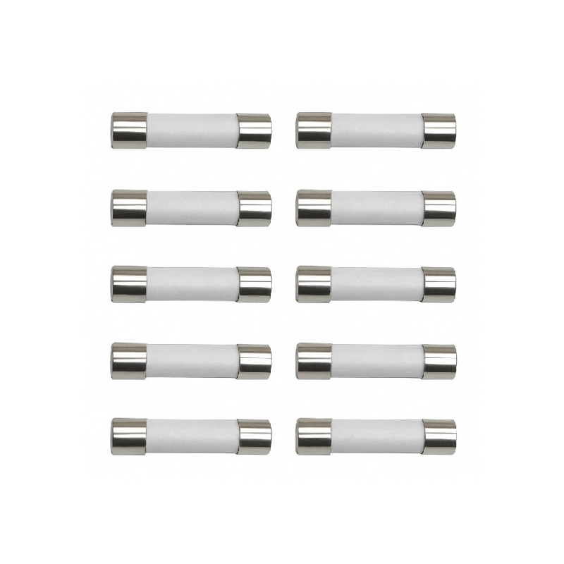 Produto fusivel-de-ceramica-para-micro-ondas-10a-samatec-10-unidades-1